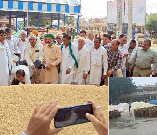 कैथल अनाज मंडी में धान की सरकारी खरीद शुरू Kaithal News