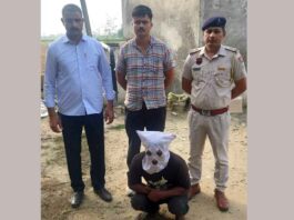 Kaithal News
