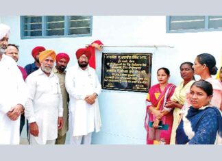 Mansa News
