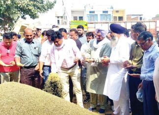 Patiala News