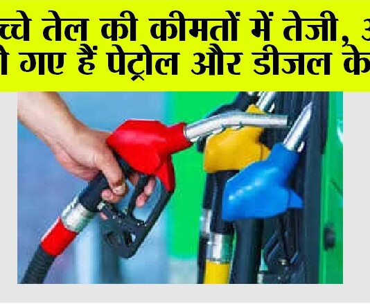 Petrol Diesel Price