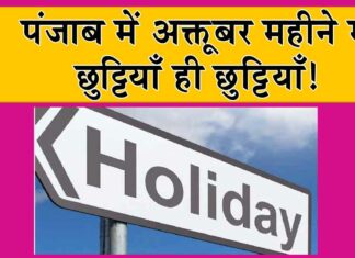 Punjab Holidays
