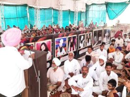 Sirsa News
