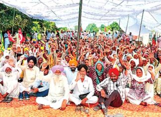 Sangrur News