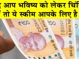 Saving Scheme: यदि आप भविष्य को लेकर चिंतित हैं तो ये स्कीम आपके लिए है! Saving Scheme