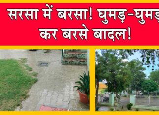 Sirsa Weather Update