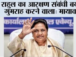 UP News
