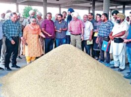 Barnala News
