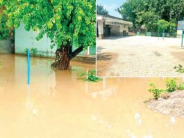 Barnala News