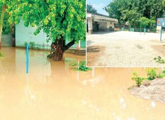 Barnala News