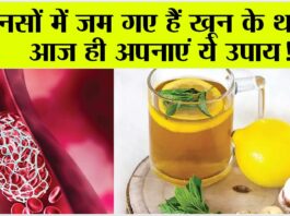 Blood Thinning Food: ये 5 चीजें खाएं और पाएं ब्लड क्लॉट से मुक्ति Blood Thinning Food