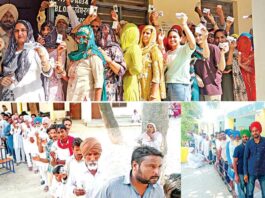 Punjab Election News
