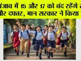 Punjab Holiday