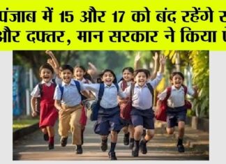 Punjab Holiday