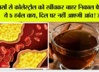 Cholesterol Melting Tea