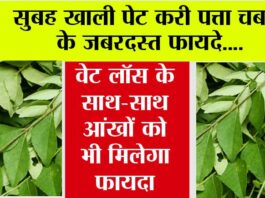 Curry Leaves Benefits