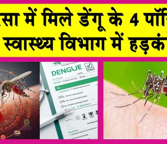 Sirsa News