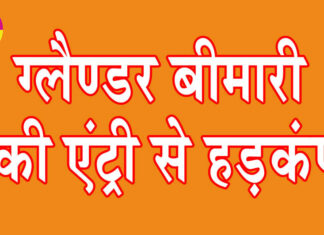 Hisar News