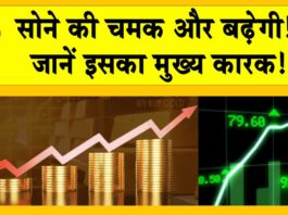 FY25 Gold and Equities