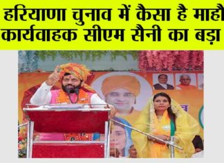 Haryana Election News