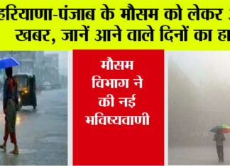 Haryana-Punjab Weather: हरियाणा-पंजाब के मौसम को लेकर अहम खबर, जानें आने वाले दिनों का हाल Haryana-Punjab Weather