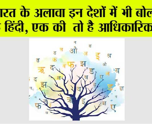 Hindi Language