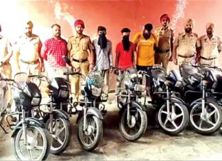 Jalandhar News