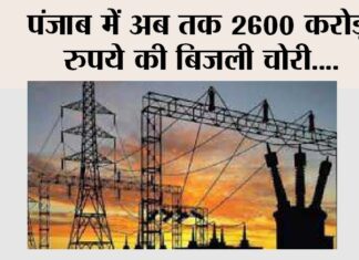 Punjab News
