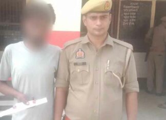 चोरी की दो भैंस व अवैध छुरी बरामद, आरोपी गिरफ्तार Kairana News