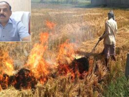 Stubble Burning Case: कैथल जिले में पराली जलाने में गुहला सबसे खराब, कलायत का सबसे अच्छा रिकॉर्ड Kaithal News