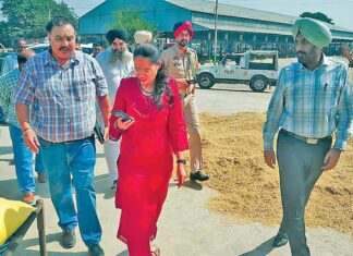 Patiala News
