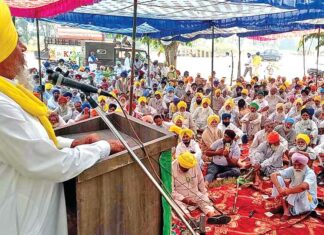 Patiala News