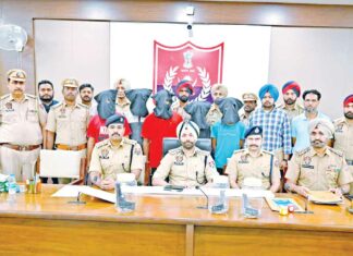 Patiala News