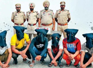 Patiala News