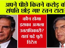 Ratan Tata Net Worth