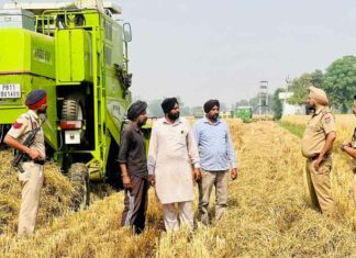 Sangrur News