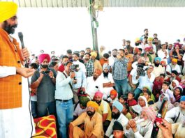 Sangrur News