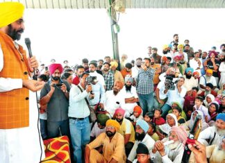 Sangrur News
