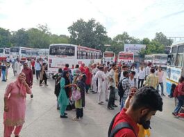 Haryana Roadways