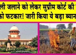 Supreme Court: पराली जलाने को लेकर सुप्रीम कोर्ट की केंद्र को फटकार! जारी किया ये बड़ा ब्यान! Supreme Court