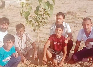 Tree Plantation: लालगढ़ नगरपालिका क्षेत्र की कल्याण भूमि में लगाए 81 पौधे Sadulshahar News