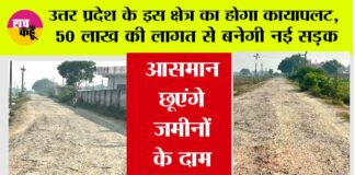 UP News