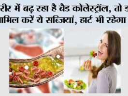 Vegetables For High Cholesterol: शरीर में बढ़ रहा है बैड कोलेस्ट्रॉल, तो डाइट में शामिल करें ये सब्जियां, हार्ट भी रहेगा हेल्दी.. Vegetables For High Cholesterol