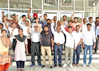Sirsa News