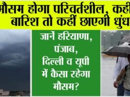 Weather Alert: कल से फिर सक्रिय होगा पश्चिमी विक्षोभ, आंधी, बारिश व शुष्क मौसम का रहेगा संगम Weather Update