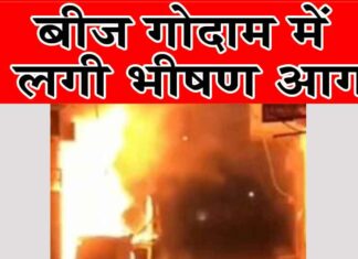 बीज गोदाम में लगी भीषण आग, एक करोड़ रुपए के नुकसान की आशंका Etawah News