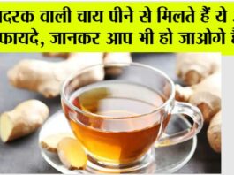 Adrak ki Chai: कैसे पकाएं अदरक वाली चाय? क्या है सही तरीका? यहां पढ़ें पूरी जानकारी Ginger Tea Benefits: