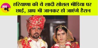 Haryana News