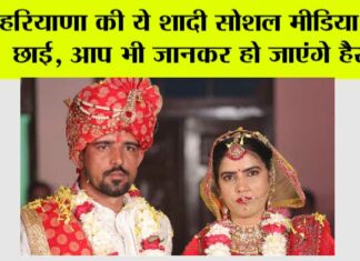 Haryana News