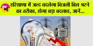 Haryana News